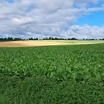 度假居 宏特姆度假屋