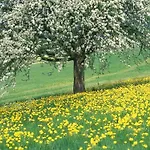 Holiday Home In Margraten Near Maastricht Semesterbostad Margraten