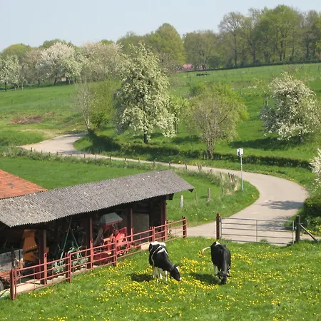 In Near Maastricht *