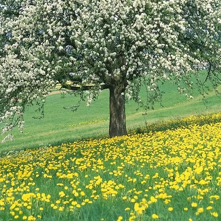 In Near Maastricht 펜션